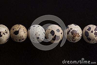 Quail eggs on a black background. Stock Photo