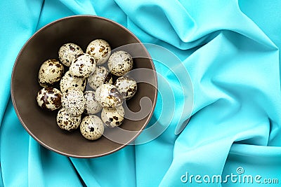 Quail eggs Stock Photo