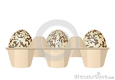 Quail eggs in carton box Vector Illustration