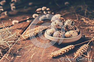 Quail eggs for Easter and blooming pussy willow branches on wooden background Stock Photo