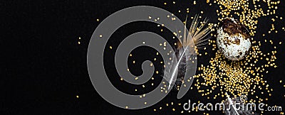 Quail eggs, feathers and golden sugar sprinkles on black. Moody easter background, banner format Stock Photo