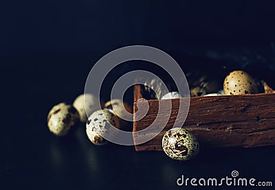 Quail eggs lie in wood little box Stock Photo