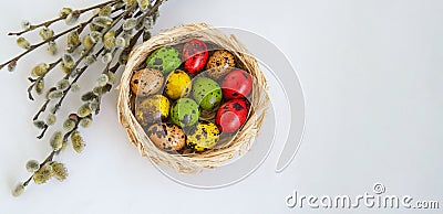 Quail eggs painted in different colors in a light wicker basket Stock Photo