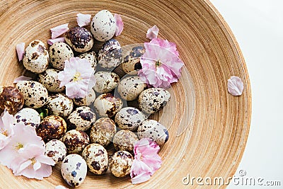 Basket with eggs and flowers. Stock Photo