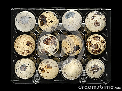 Fresh quail eggs in plastic egg carton, from above, over black Stock Photo