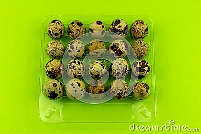 Quail eggs in plastic package on green background Stock Photo