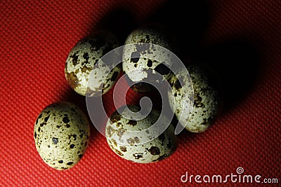 Quail eggs on Red background Stock Photo
