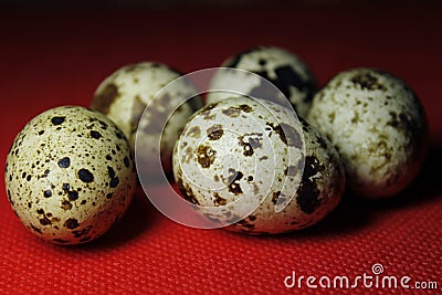 Quail eggs on red background Stock Photo