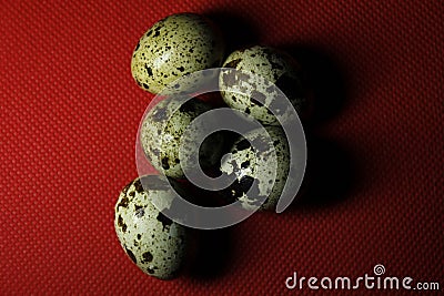Quail eggs on red background Stock Photo