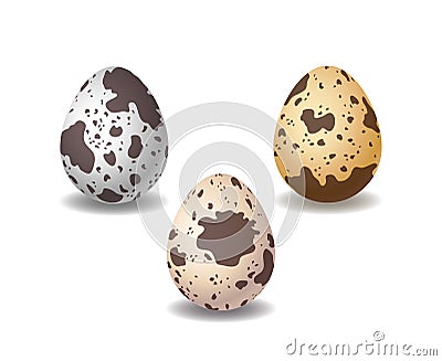 Quail eggs. Semi realistic vector image Vector Illustration