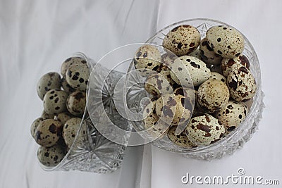 Quail eggs vase and its reflection 0063 Stock Photo