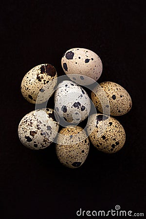 Quail eggs texture. Many quail eggs Stock Photo