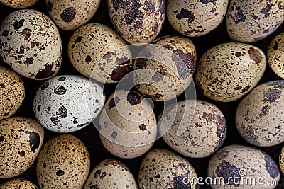 Quail eggs texture. Many quail eggs Stock Photo