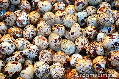 Quail eggs Stock Photo