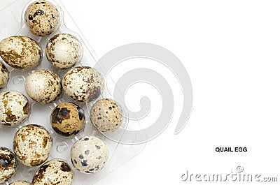 Quail eggs on white background, with space for text. Stock Photo