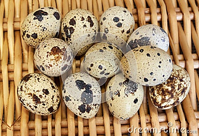 Quail eggs on wisker basket Stock Photo