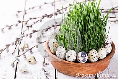 Quails egg on grass Stock Photo