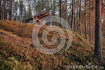 Quaint cabin is nestled in the lush forest, perched atop a rolling hill. Stock Photo