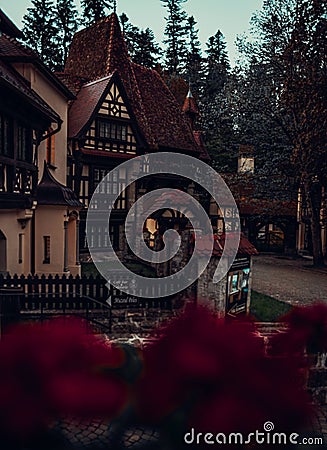 Quaint street in Bran, Romania lined with colorful houses and flourishing flower beds Editorial Stock Photo