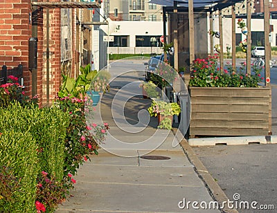 Quaint street with plants and flowers Stock Photo