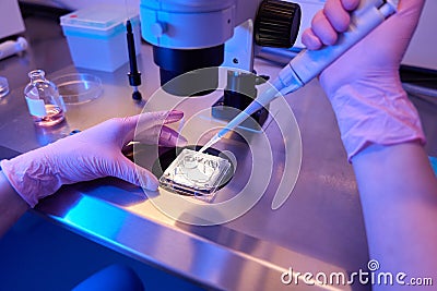 Qualified embryologist preparing biological material for microscopic examination Stock Photo