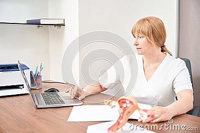 Qualified woman gynecologist reading articles about treatment in internet Stock Photo