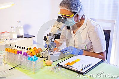 Quality control expert inspecting at chicken eggs Stock Photo