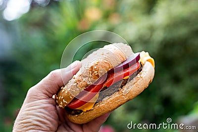 Quarter Pound Hamburger or Beefburger in a Seame Bread Bun Stock Photo
