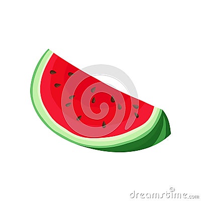 Quarter watermelon. Vector illustration on white background. Vector Illustration