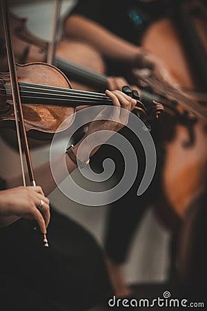 Quartet violin and cellos - closeup on hands - female hands Stock Photo
