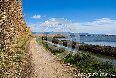 The saltworks of Quartu Stock Photo