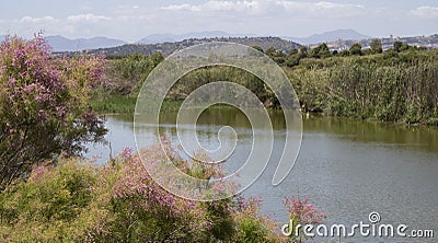 QUARTU S..E: Walk in the Park Molentargius - Sardinia Stock Photo