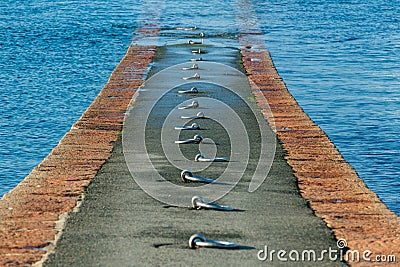 Quay with a series of round rings to attach boats Stock Photo