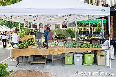 Queen Anne Farmers Market vendor, Local Roots Farm Editorial Stock Photo