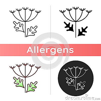 Queen Annes lace icon Vector Illustration