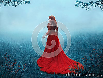 The Queen in a luxurious, expensive, red dress, walks in a thick fog with a long train. A young-haired girl in a golden Stock Photo