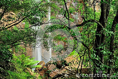 Queen Mary Falls of Queensland Stock Photo