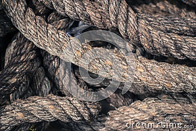 Queens rope with beautiful texture background Stock Photo