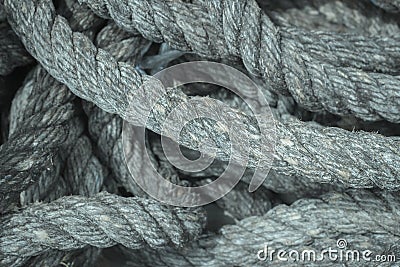 Queens rope with beautiful texture background Stock Photo