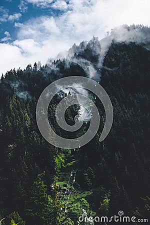 Queenstown Skyline in a cloudy day. Foggy Scene among pine trees forest Stock Photo