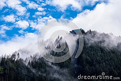 Queenstown Skyline in a cloudy day. Foggy Scene among pine trees forest Stock Photo