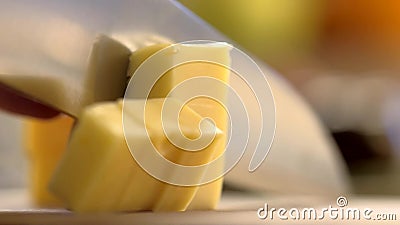 Queso del corte Queso del corte