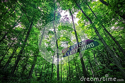 Question Everything sign in forest Stock Photo