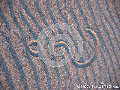 Questionmark in sand Stock Photo