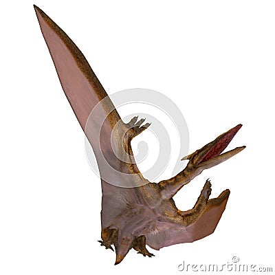 Quetzalcoatlus Stock Photo