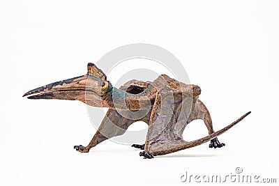 Quetzalcoatlus ,dinosaur on white background Stock Photo