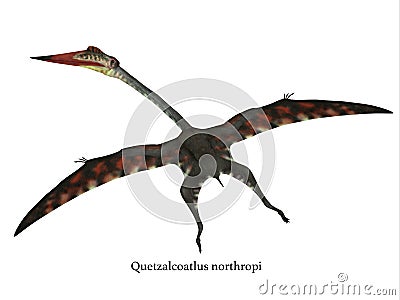 Quetzalcoatlus Flying Reptile with Font Stock Photo