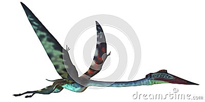 Quetzalcoatlus Profile Stock Photo