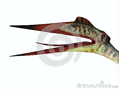 Quetzalcoatlus Reptile Head Stock Photo