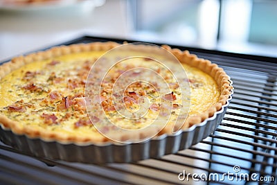 quiche lorraine with a golden crust fresh from the oven Stock Photo